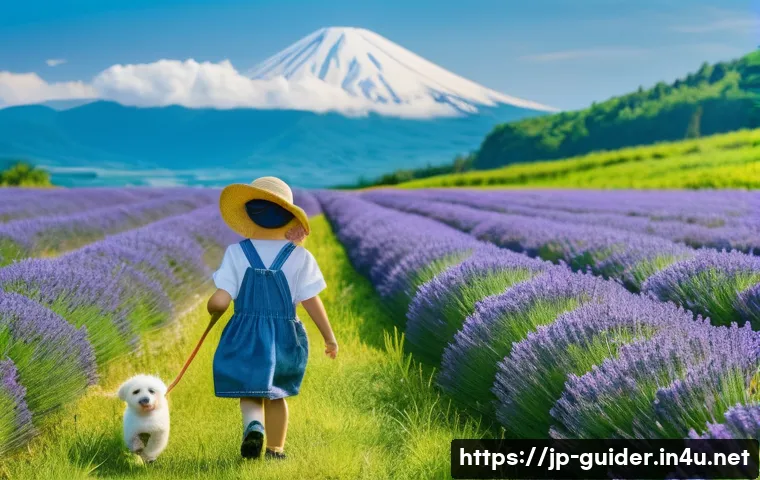 여행안내사로서 자주 묻는 질문과 답변 관련 이미지 1